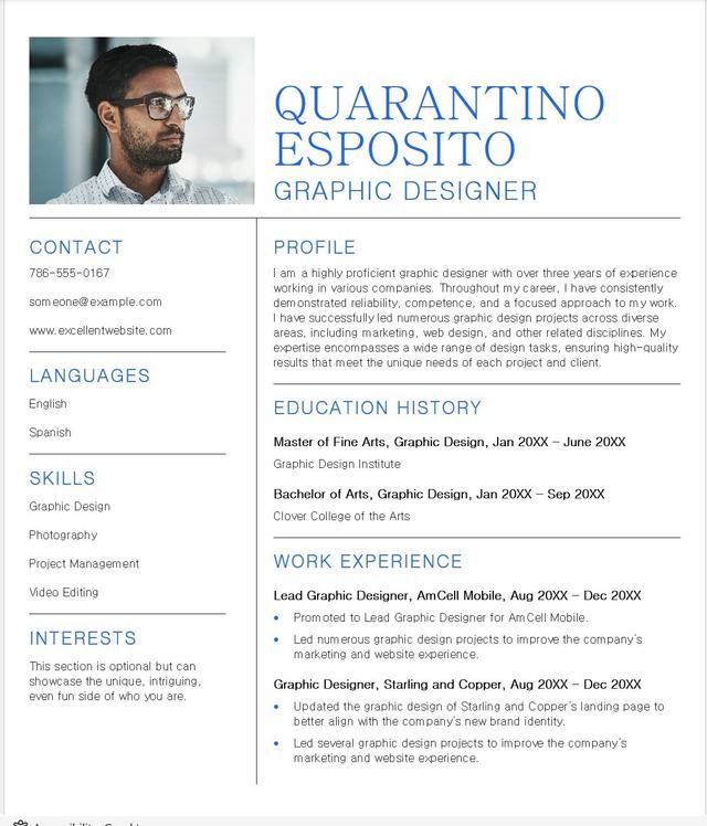 Modern Professional Resume Preview